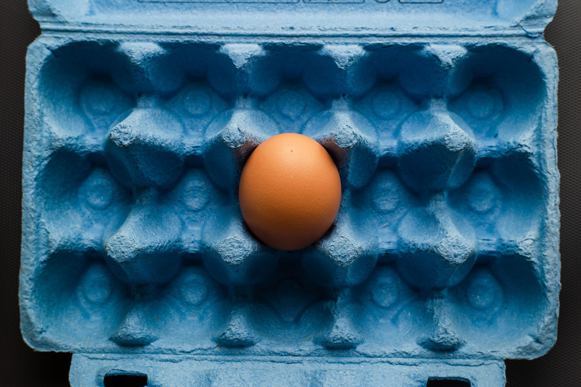 egg in one basket
